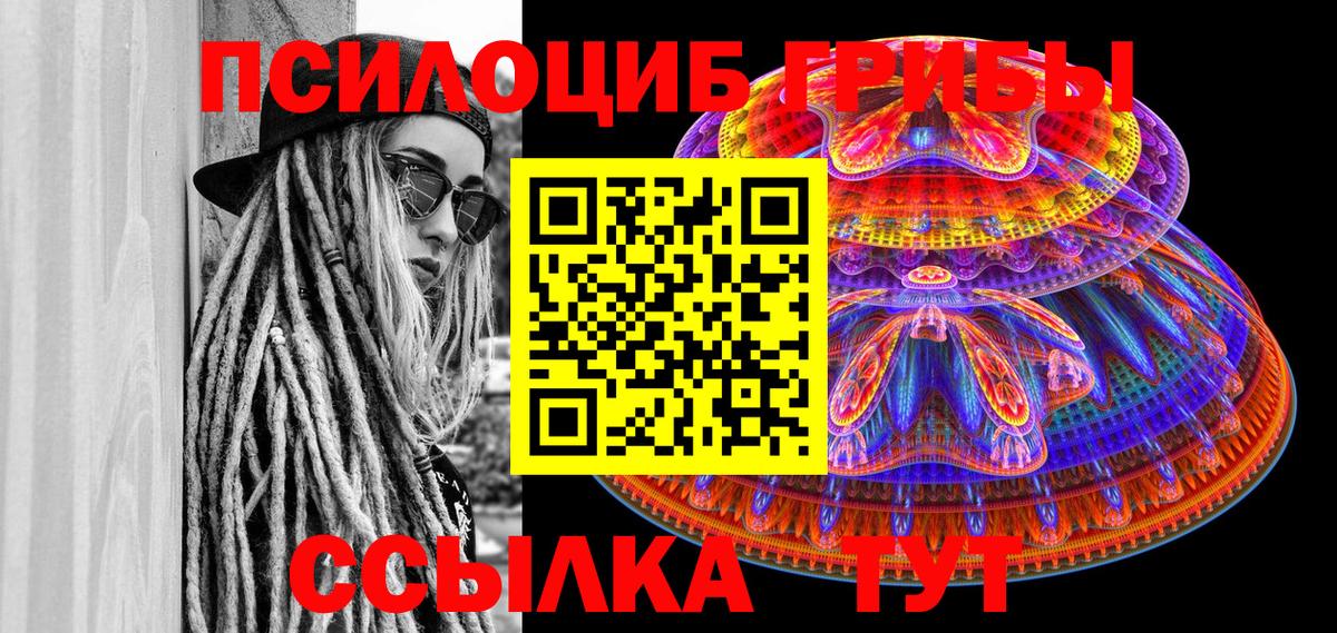 Нерюнгри  Псилоцибиновые грибы мухоморы  Вход с VPN 
